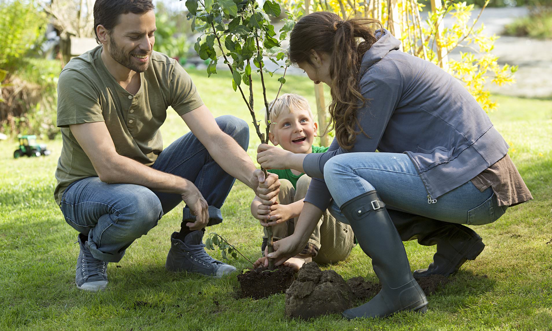 People Planting Trees And Flowers